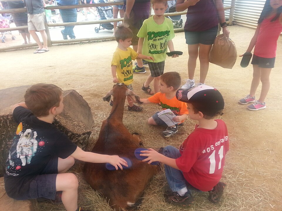 Kinderboerderij Kokiezier