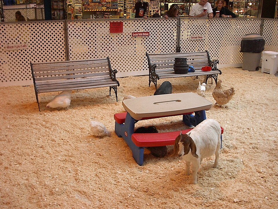 Kinderboerderij Rekhemseweg
