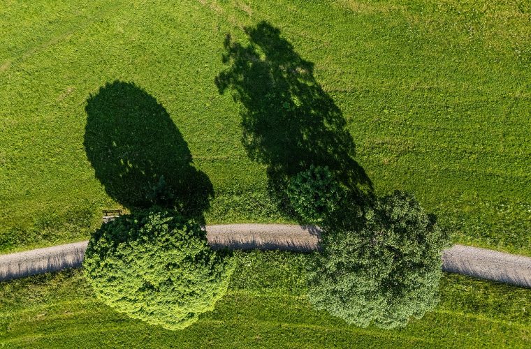 Bezoekers verkennen het plattelandsleven op Museumboerderij Het Hofshuus aan de Leemscherweg in Doetinchem.