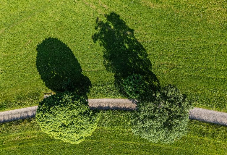 Plattelandsdag & Beleving — natuur in Doetinchem