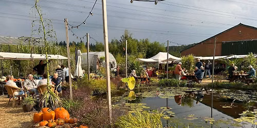Herfstoogst & Pompoendagen bij Bandus in Hummelo — muziek in Doetinchem