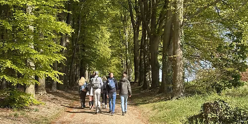 Social & Step Achterhoek (Doetinchem) met de Walk Club — natuur in Doetinchem