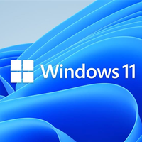 Basiscursus Windows 11 door SeniorWeb — lezing in Doetinchem